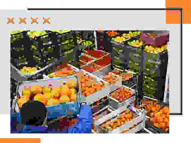 Перевозка скоропортящихся продуктов в Советской Гавани